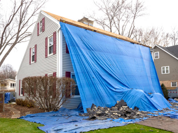 Best Shed Removal  in Theodore, AL